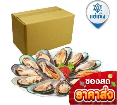 wSEAPRODUCT FZ หอยแมลงภู่NZ (L)X12