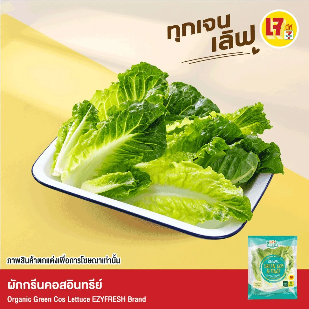 ผักกรีนคอสอินทรีย์